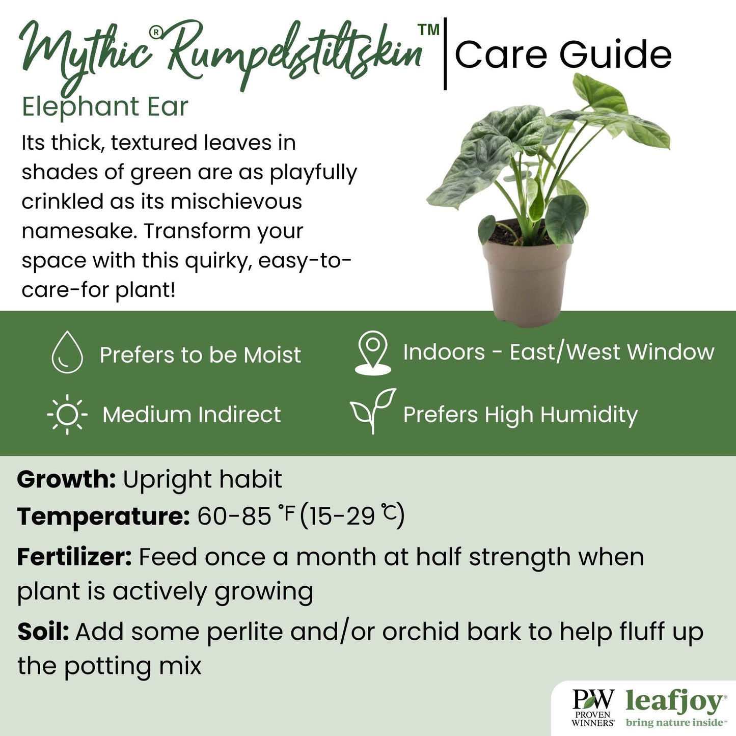 leafjoy® Mythic® Rumpelstiltskin™ Elephant Ear detailed care information.