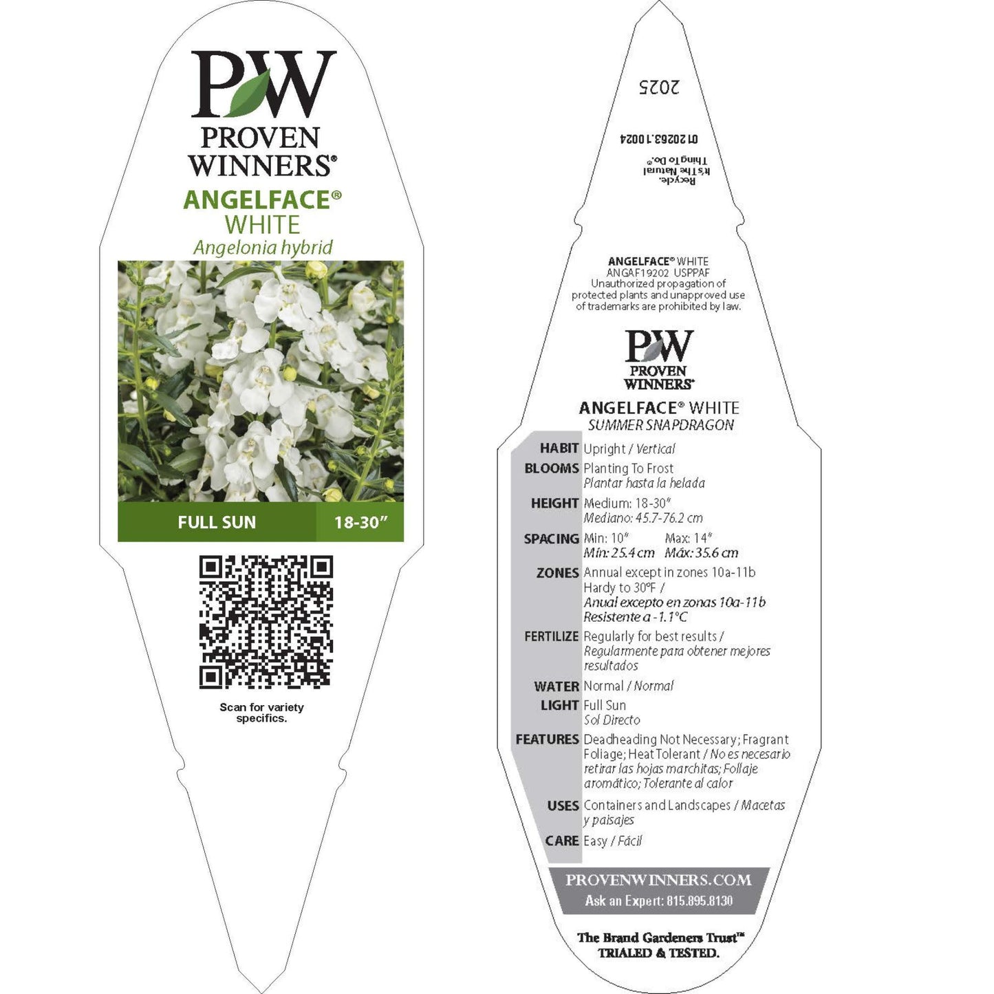 Angelface® White Summer Snapdragon (Angelonia)