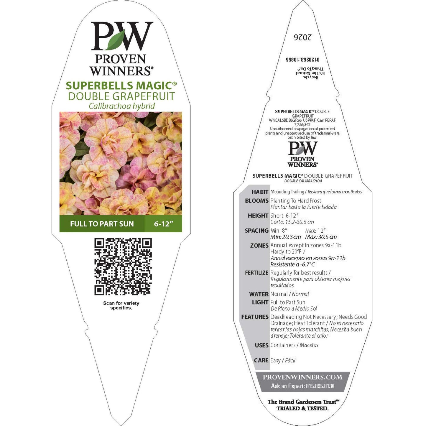 Superbells Magic® Double Grapefruit Calibrachoa | Proven Winners® New Variety 2026