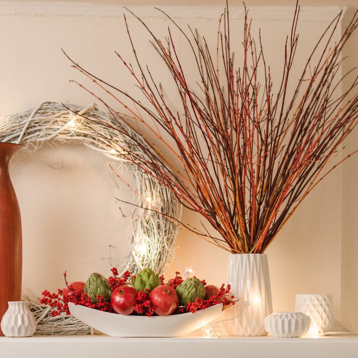Arctic Fire Red Arctic Fire Red Dogwood in use.