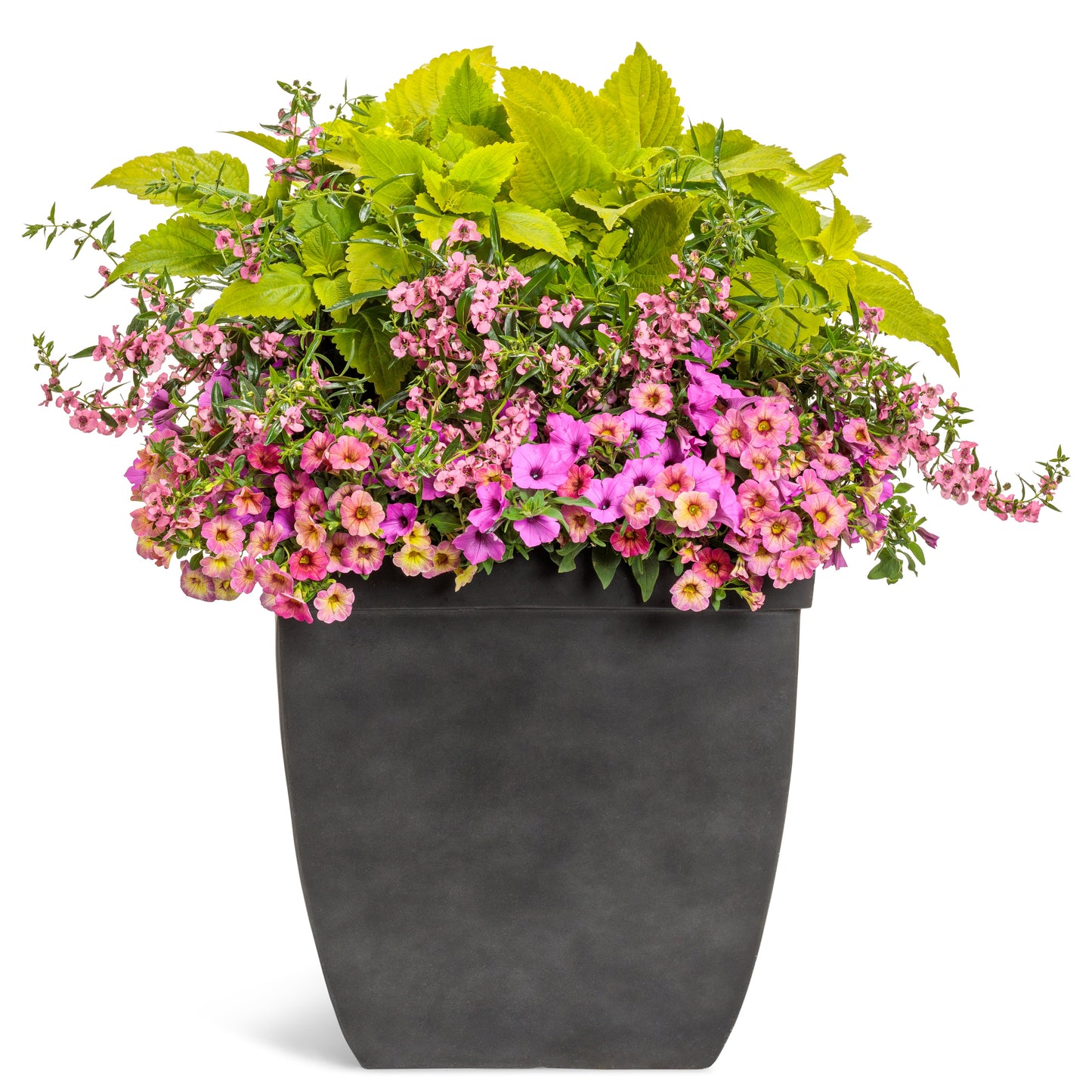 AquaPots® Lite Urban - Courtyard