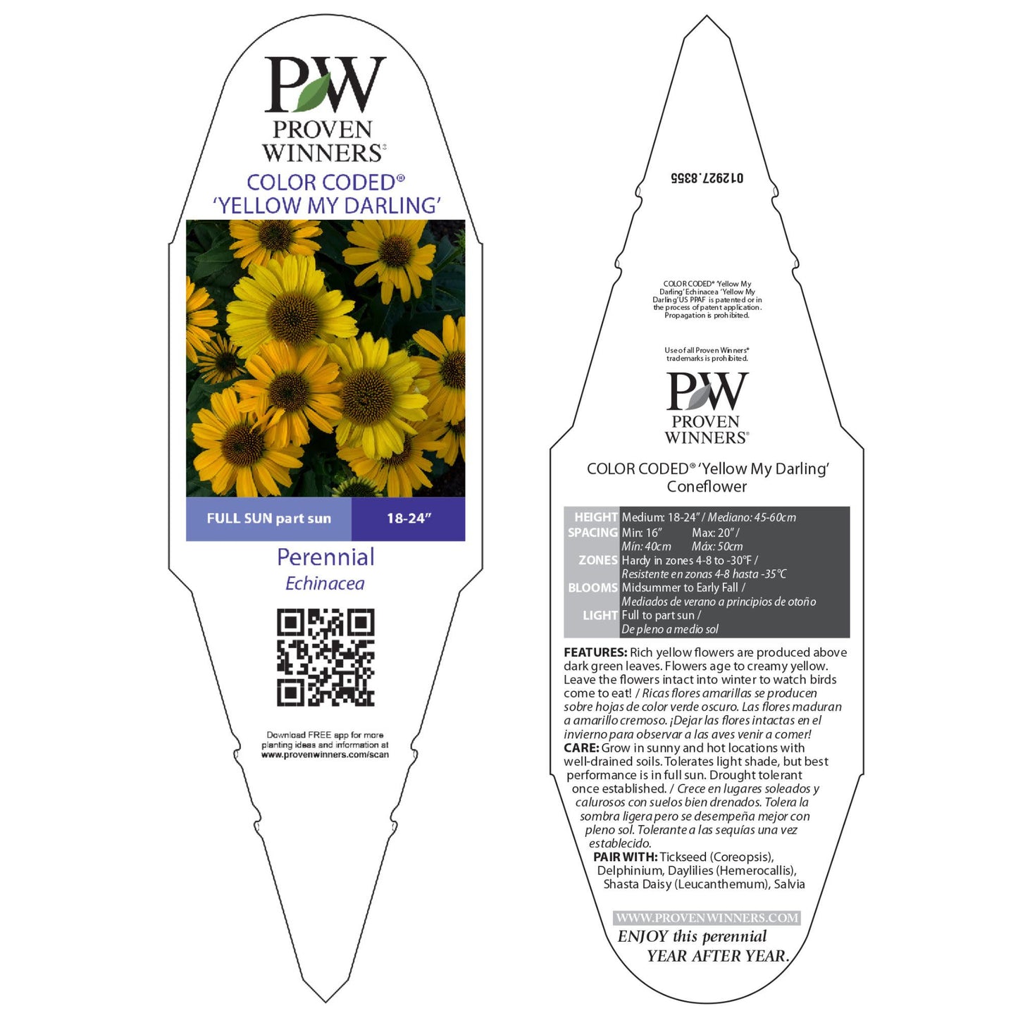 Color Coded® 'Yellow My Darling' Coneflower (Echinacea hybrid)