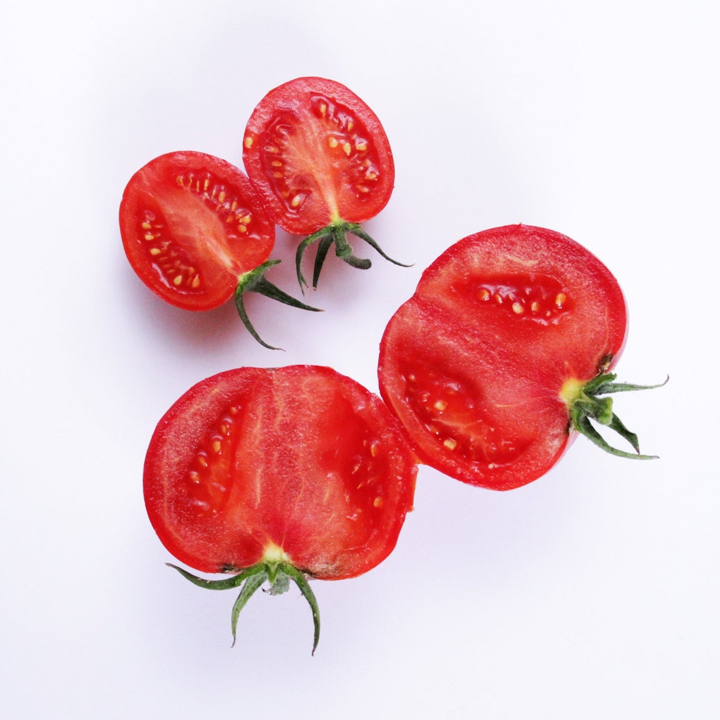 Garden to Table Plants|Lycopersicon - Tempting Tomatoes 'Garden Gem' 5