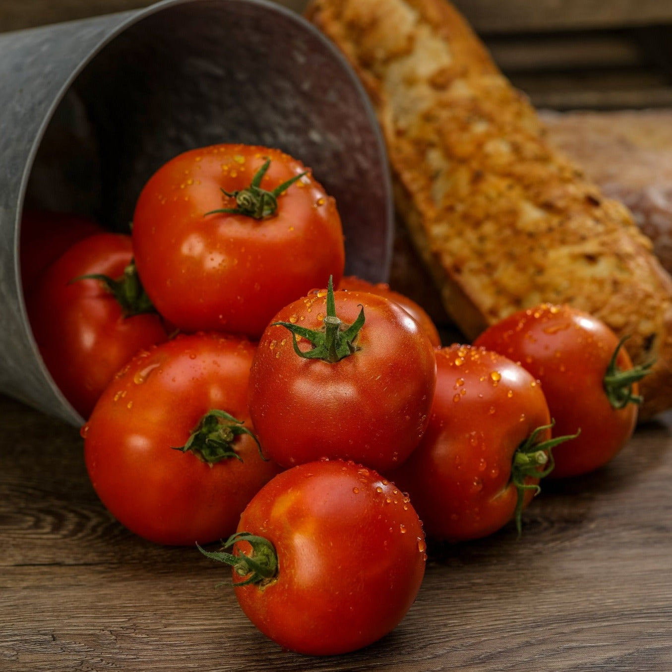 Garden to Table Plants|Lycopersicon - Tempting Tomatoes 'Garden Treasure' 3