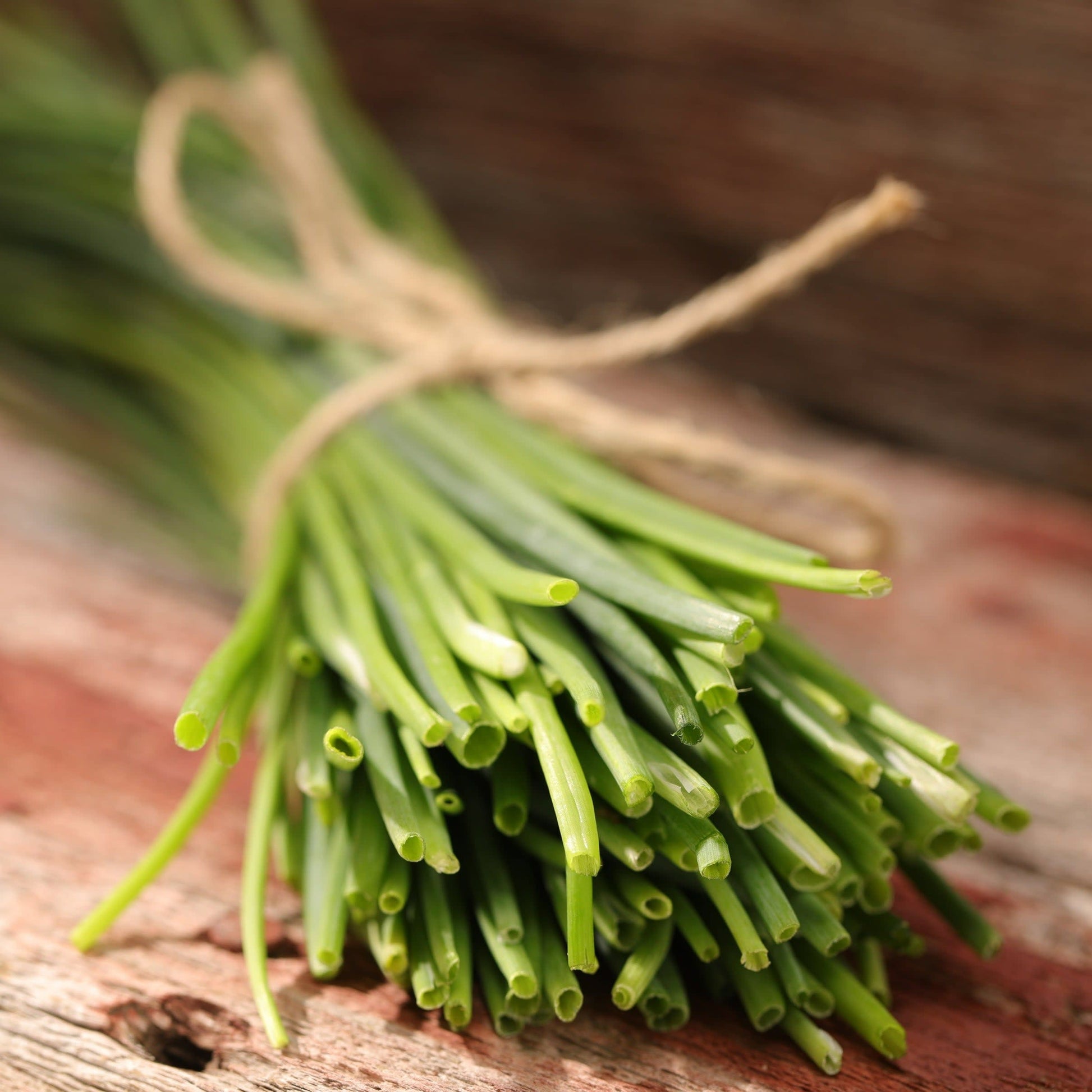 Proven Selections Medium Chives Chives in focus.