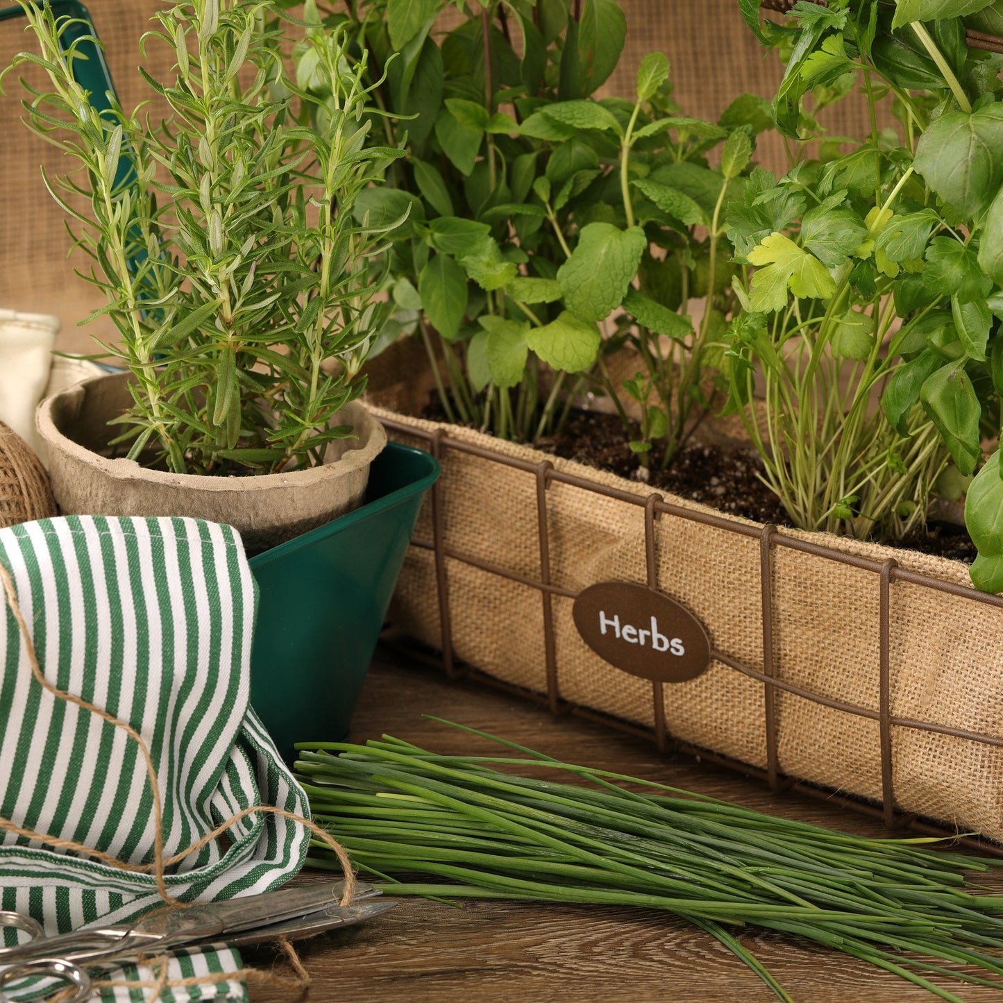 Proven Selections Medium Chives Chives in use.