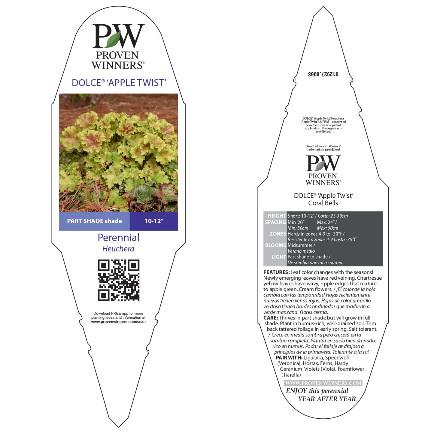 Dolce® 'Apple Twist' Coral Bells (Heuchera)