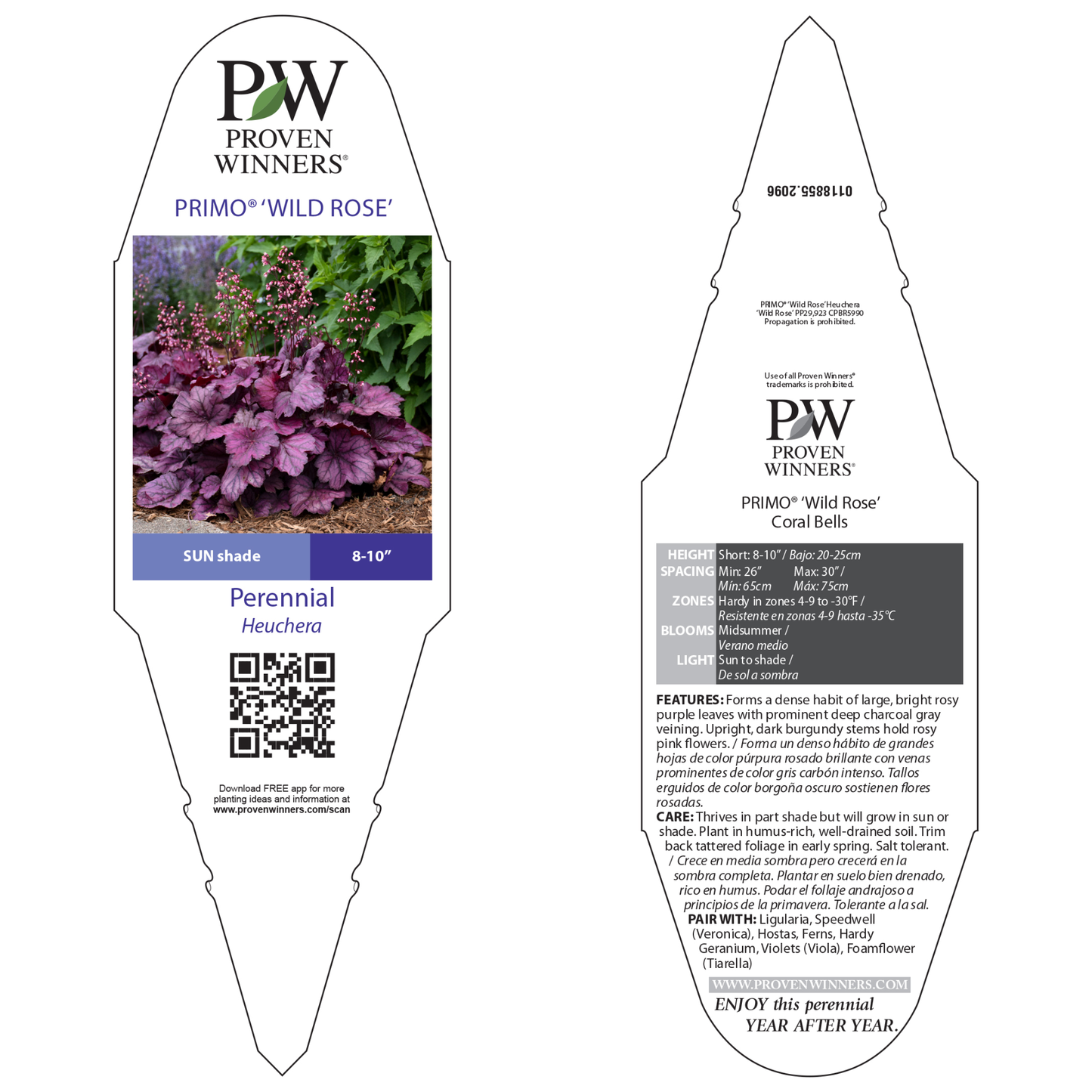 Primo® 'Wild Rose' Coral Bells (Heuchera)