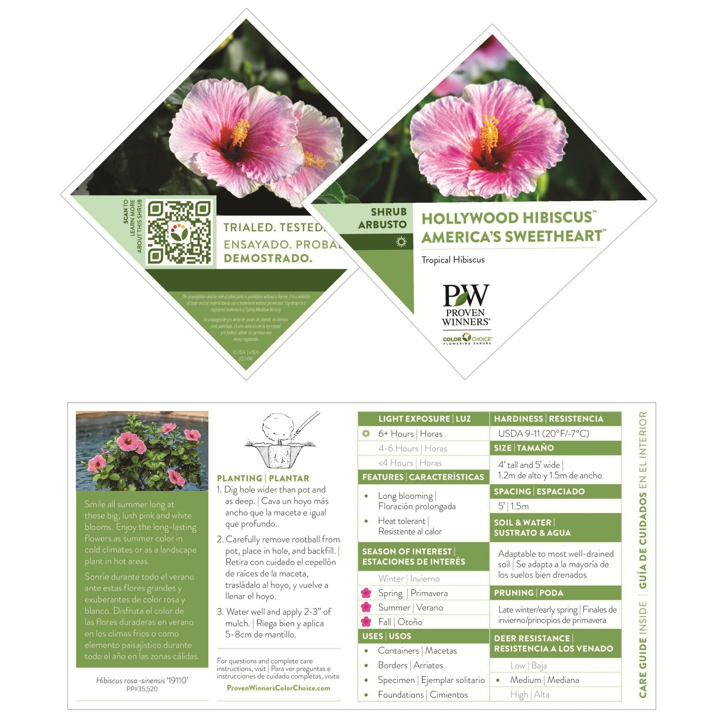 Hollywood Hibiscus® America's Sweetheart™ Tropical Hibiscus (Hibiscus Rosa-sinensis)