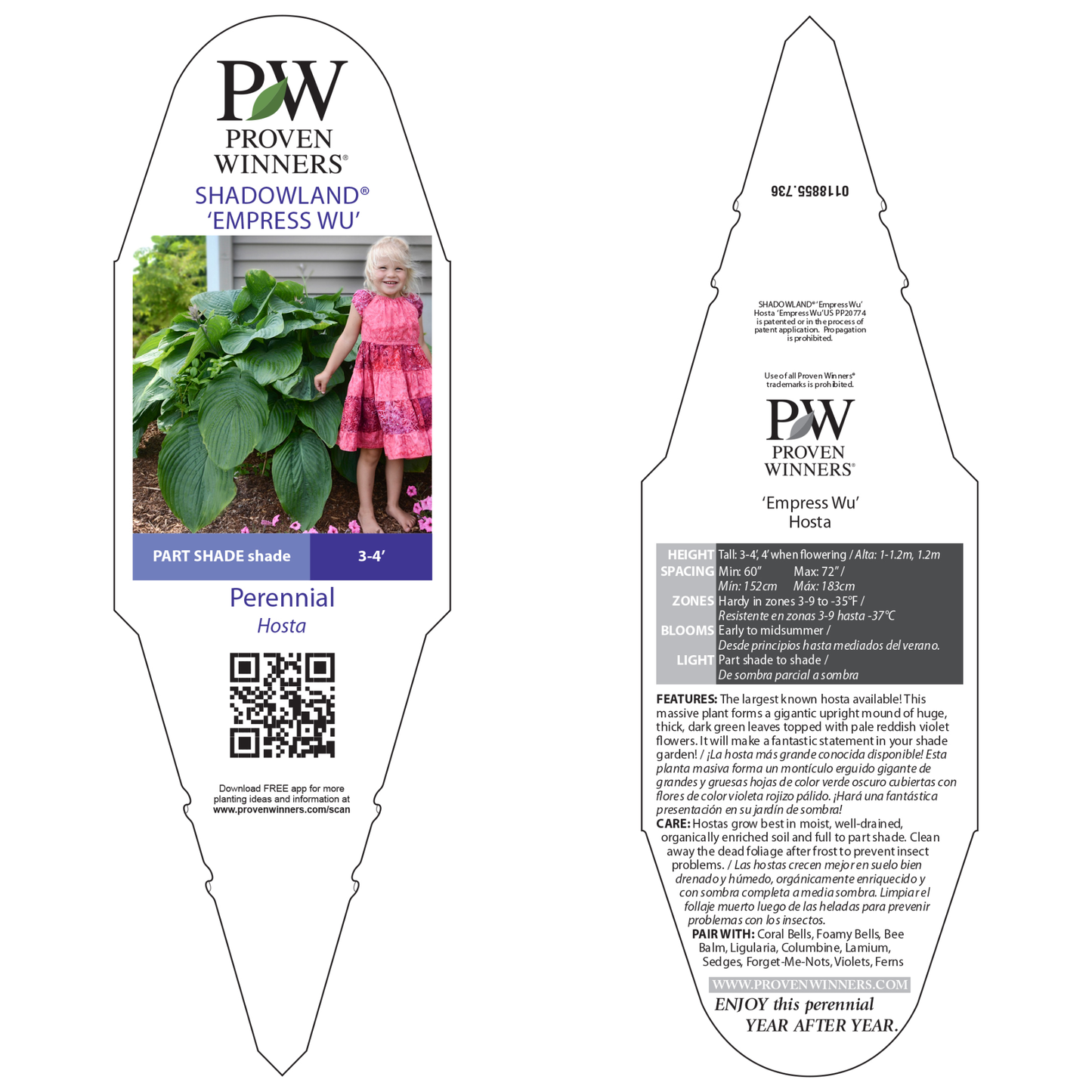 Shadowland® 'Empress Wu' Hosta