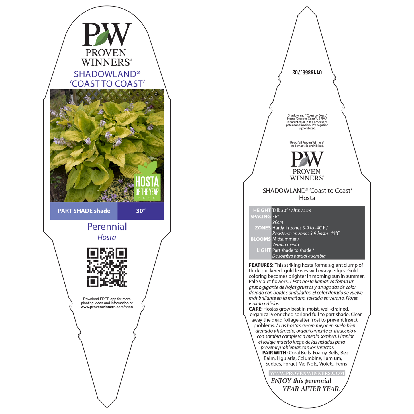 Shadowland® 'Coast to Coast' Hosta