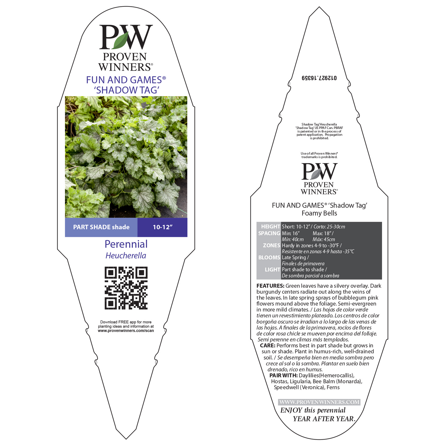 Fun and Games® 'Shadow Tag' Foamy Bells (Heucherella hybrid)