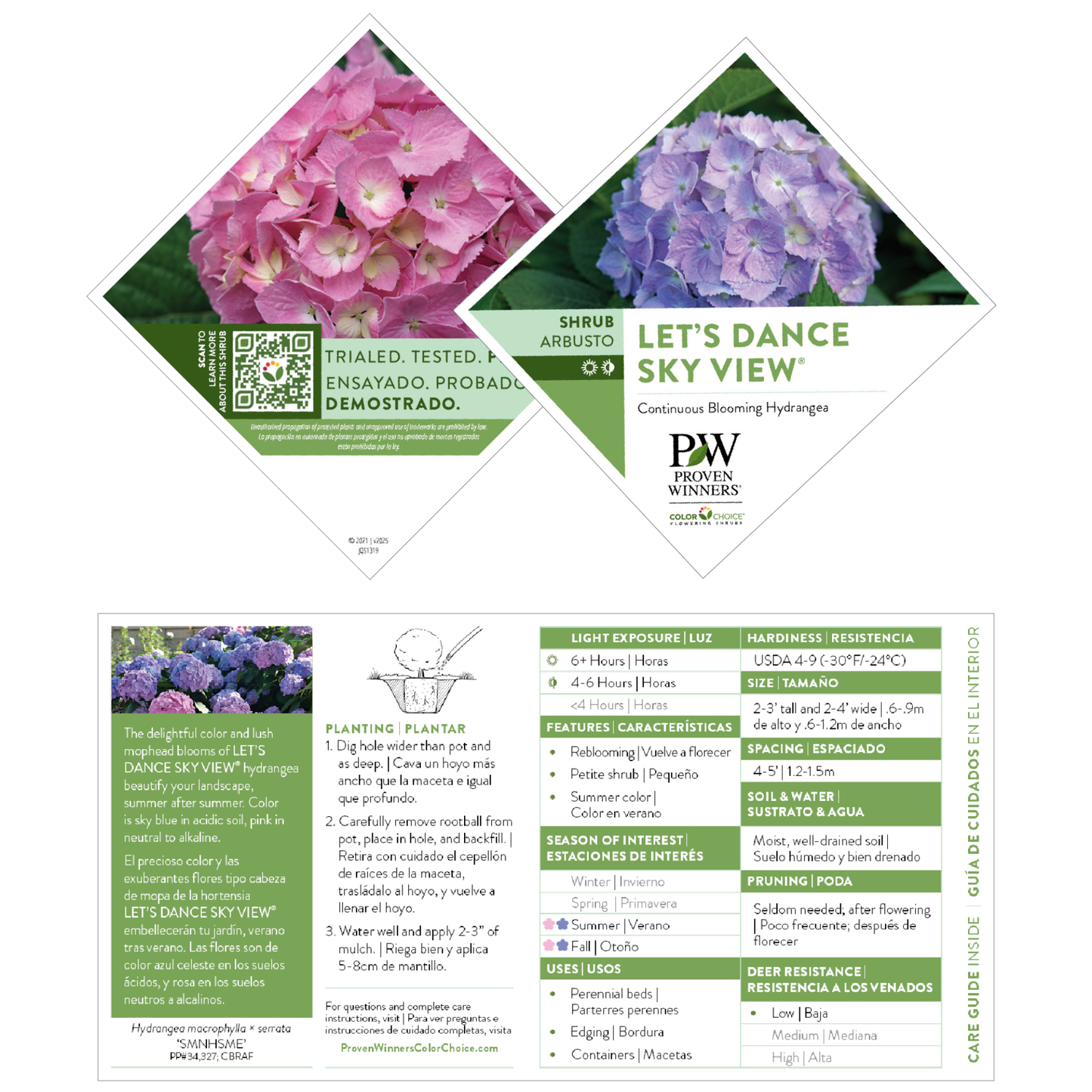 Let's Dance Sky View® Reblooming Hydrangea (macrophylla x serrata)