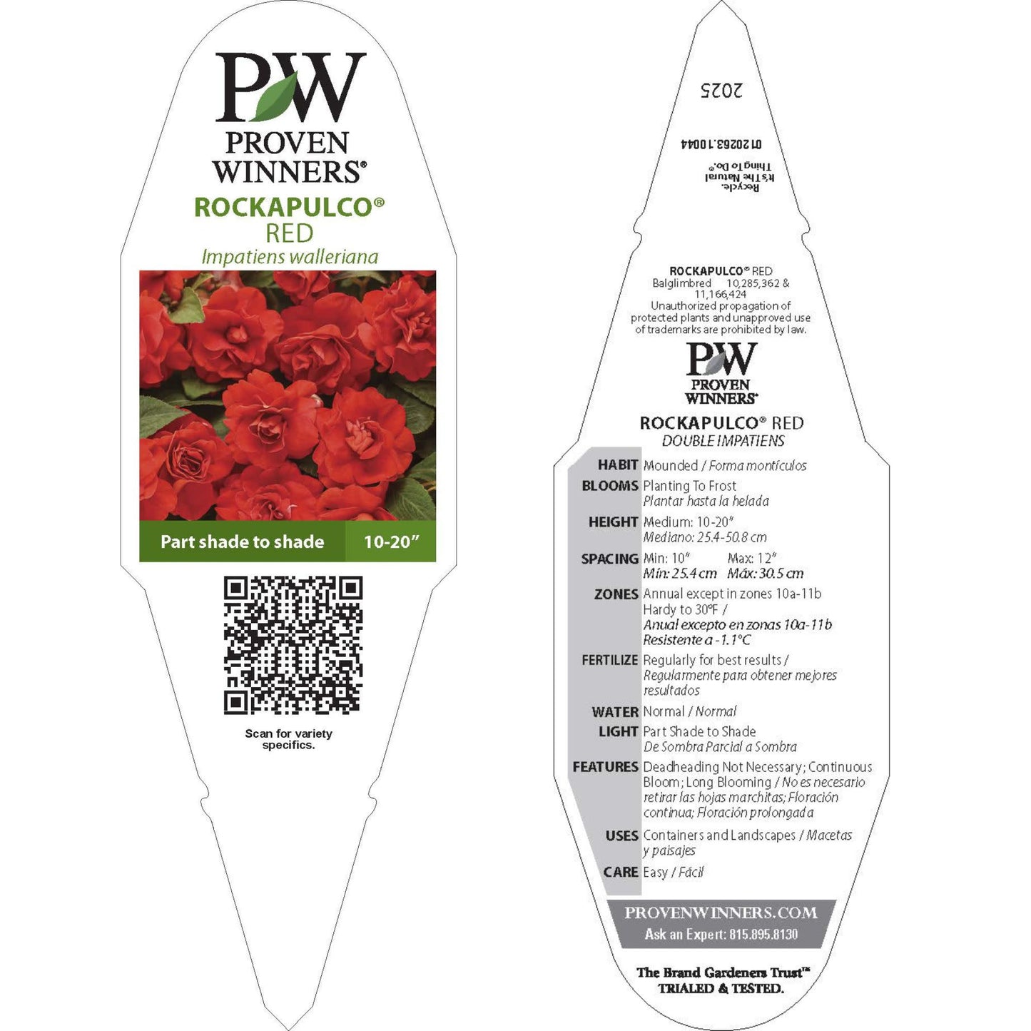 Rockapulco® Red Double Impatiens (walleriana)