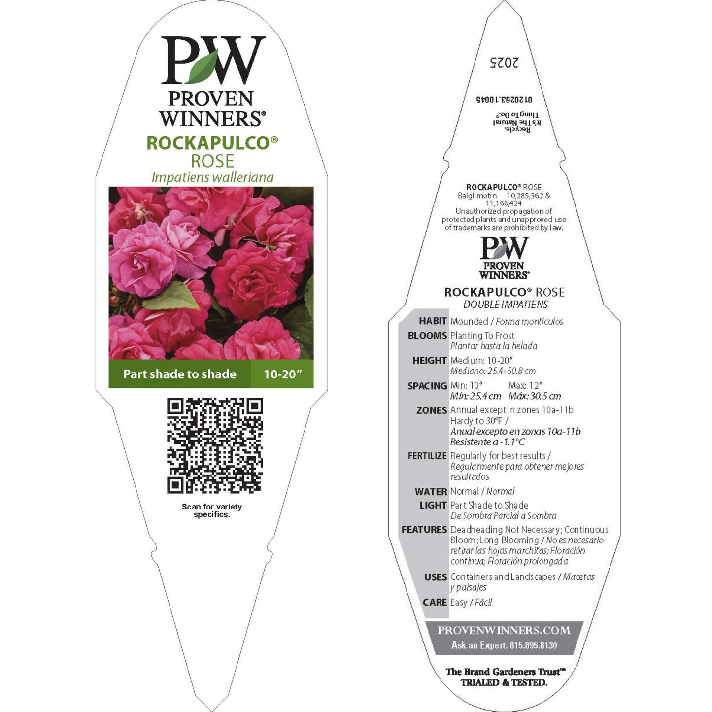 Rockapulco® Rose Double Impatiens (walleriana)