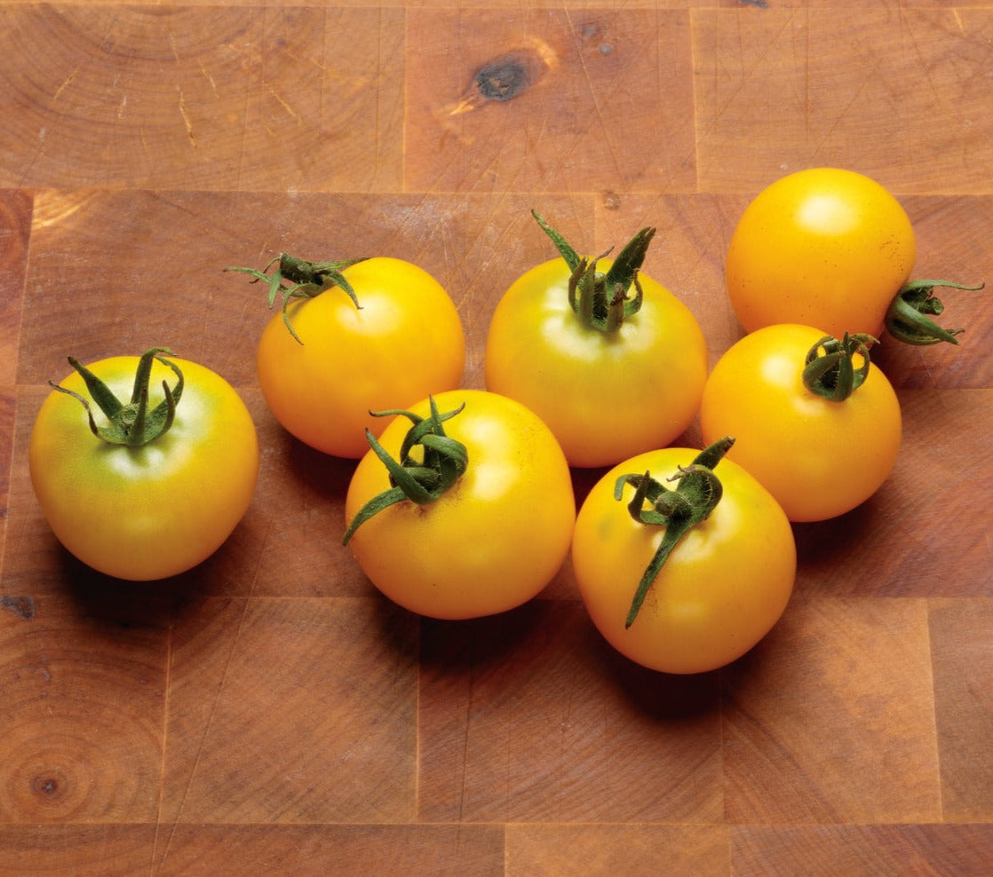 Seeds Tempting Tomatoes® Patio Sunshine Cherry Tomato (Solanum lycopersicum)