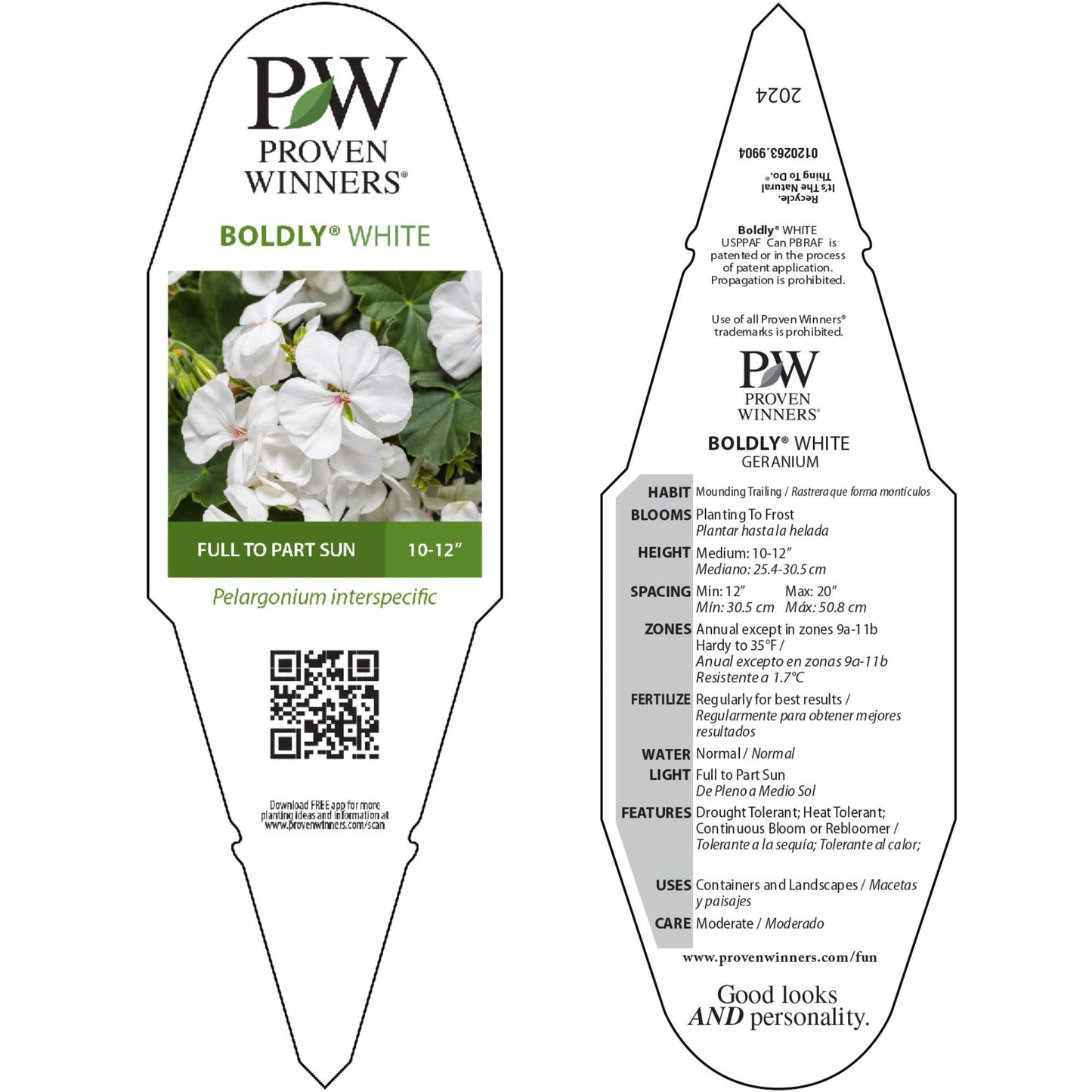 Boldly® White Geranium (Pelargonium interspecific)