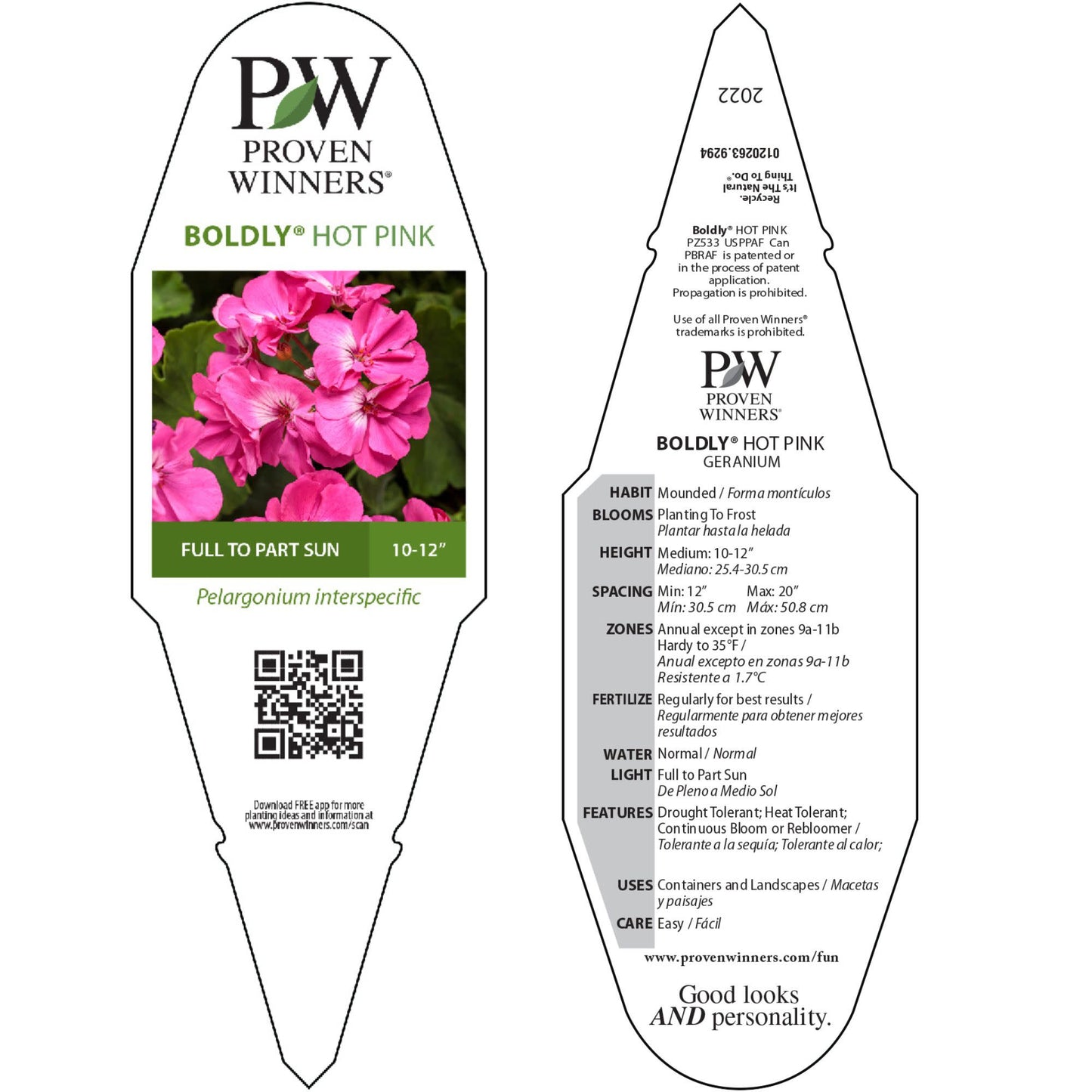Boldly® Hot Pink Geranium (Pelargonium interspecific)