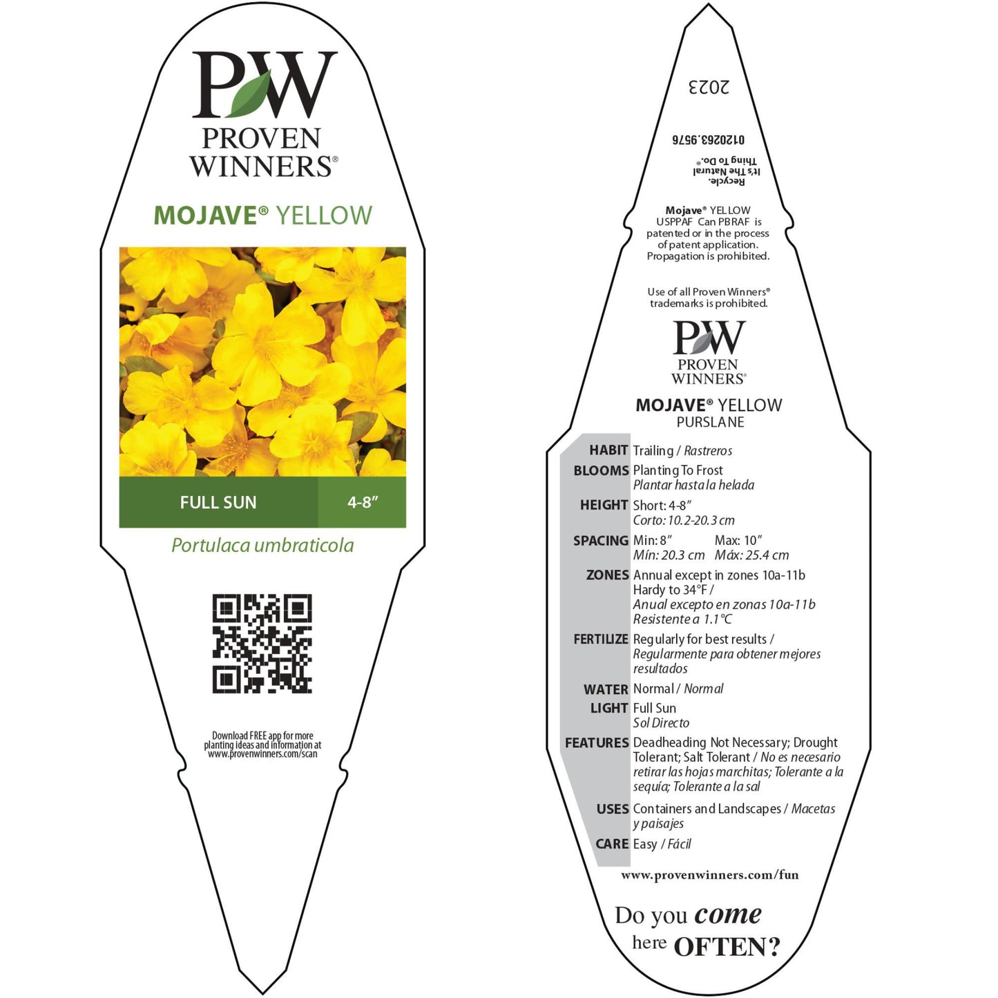 Mojave® Yellow Purslane (Portulaca umbraticola)