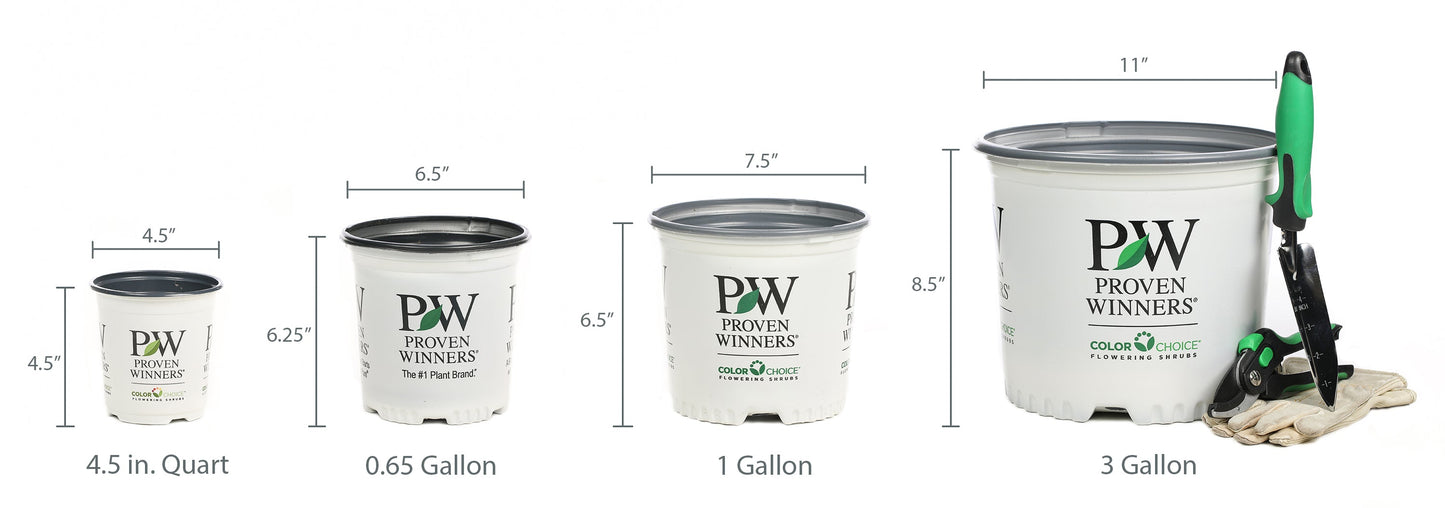 Proven Winners Plant Sizes