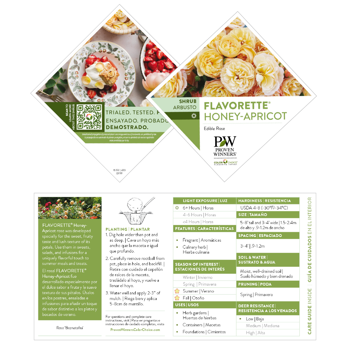 Flavorette® Honey-Apricot Edible Rose