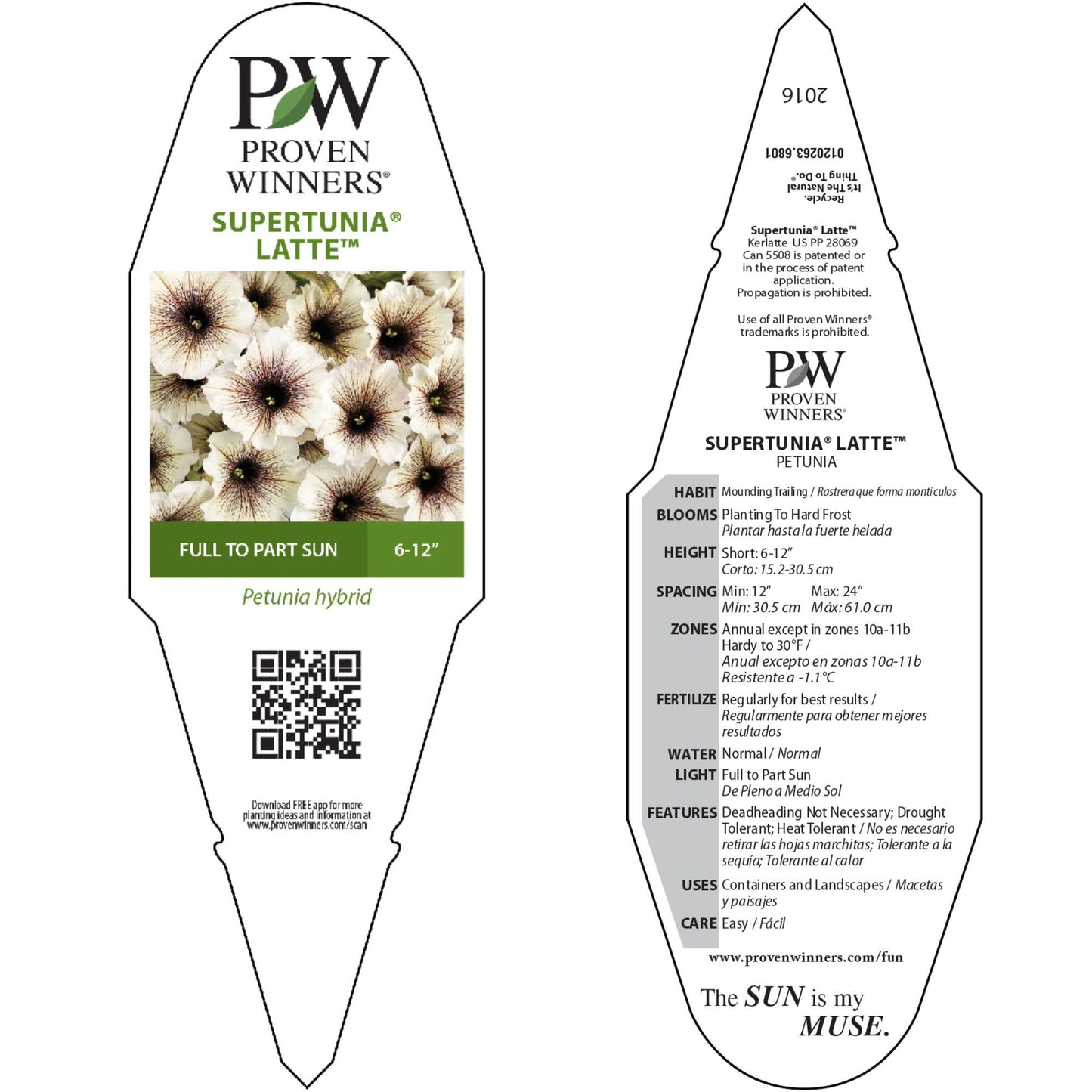 Supertunia® Latte™ Petunia