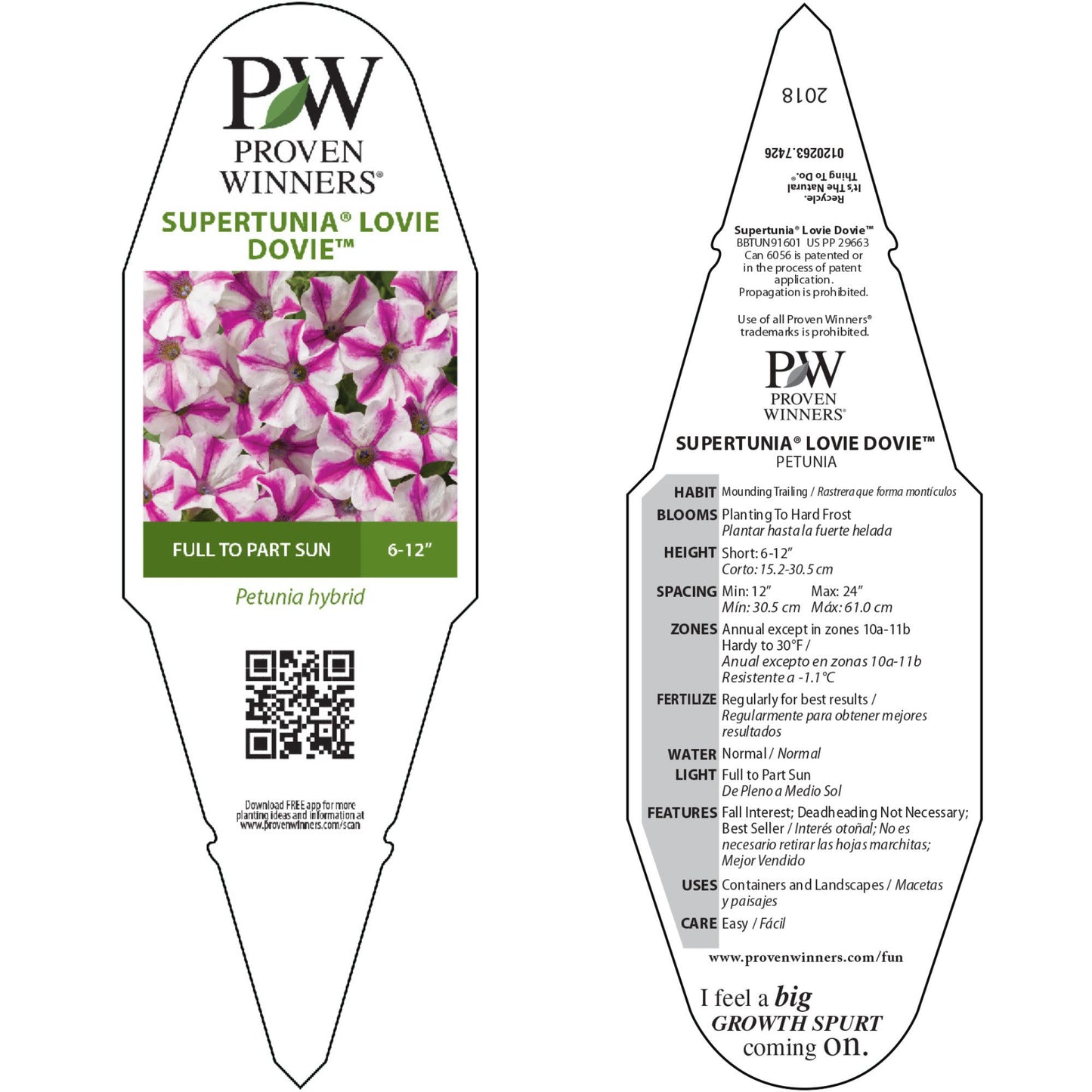 Supertunia® Lovie Dovie™ Petunia