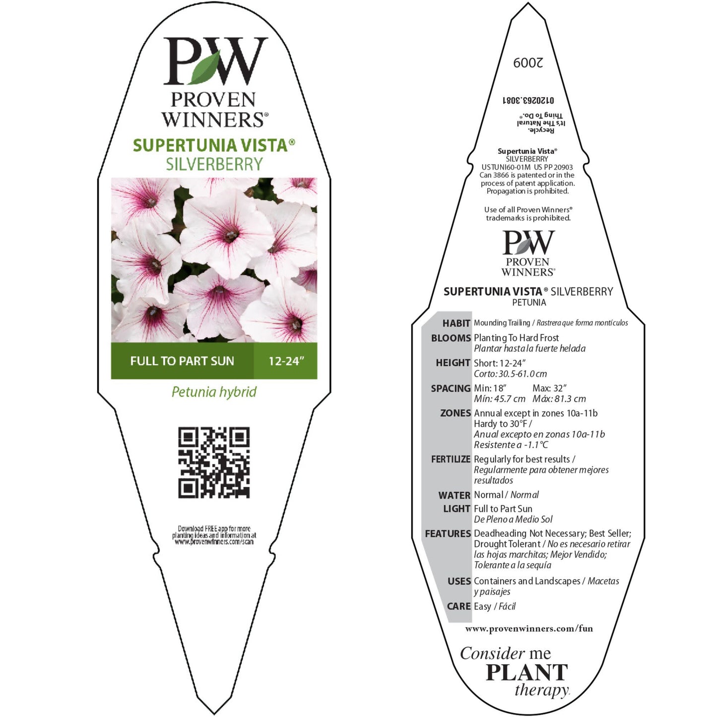 Supertunia Vista® Silverberry Petunia