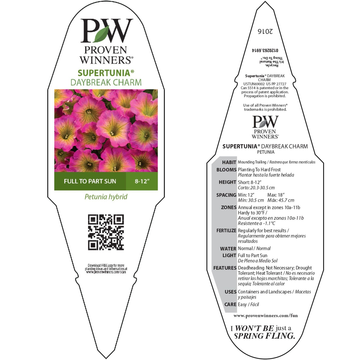 Supertunia® Daybreak Charm Petunia