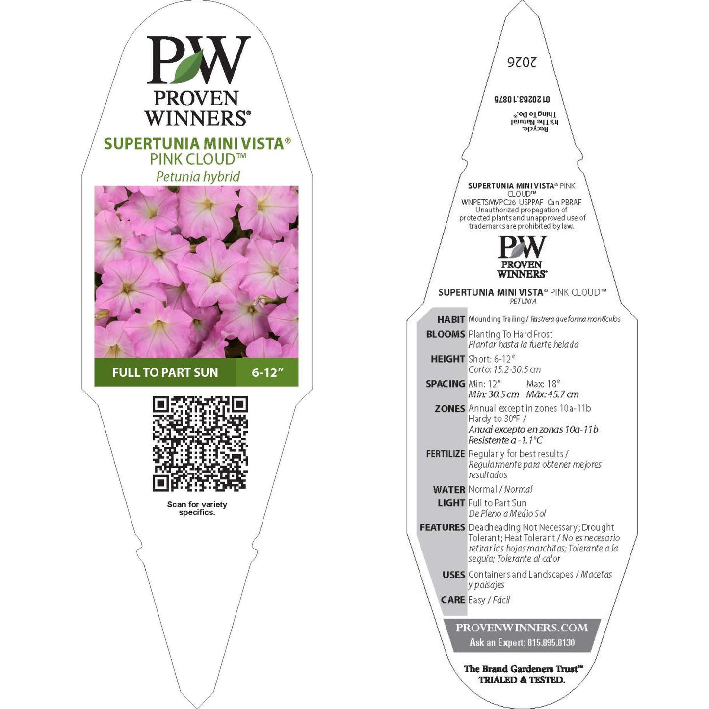 Supertunia Mini Vista® Pink Cloud Petunia | Proven Winners® New Variety 2026