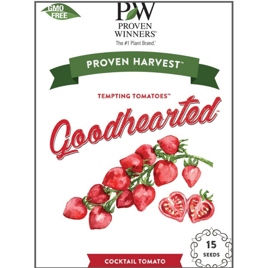 Seeds Tempting Tomatoes™ 'Goodhearted' (Lycopersicon)