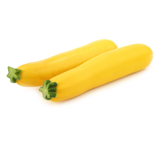 Gold Rush Zucchini close up.