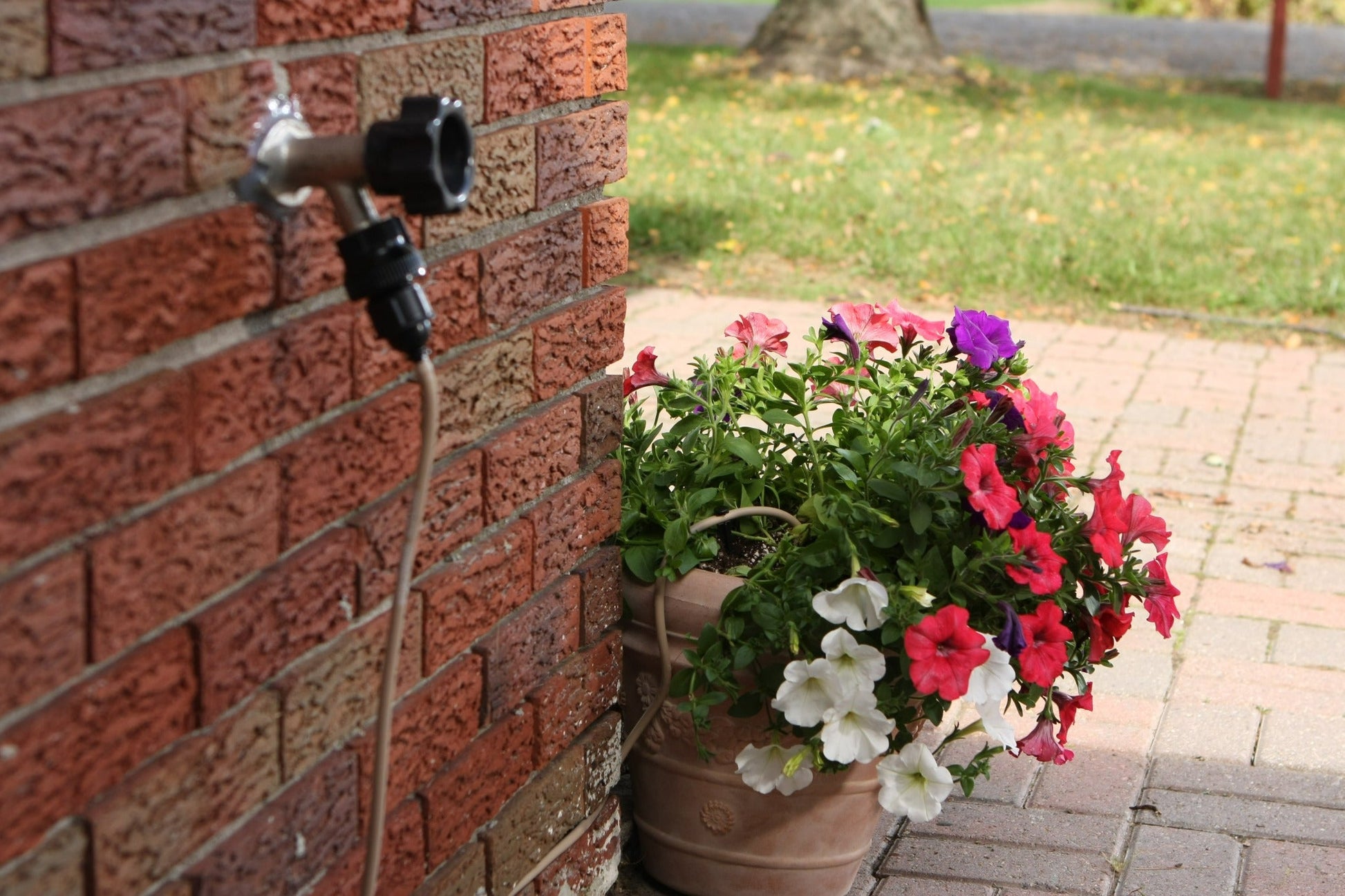 Proven Winners® Hardgoods Plants|WaterWise Drip Irrigation System 2