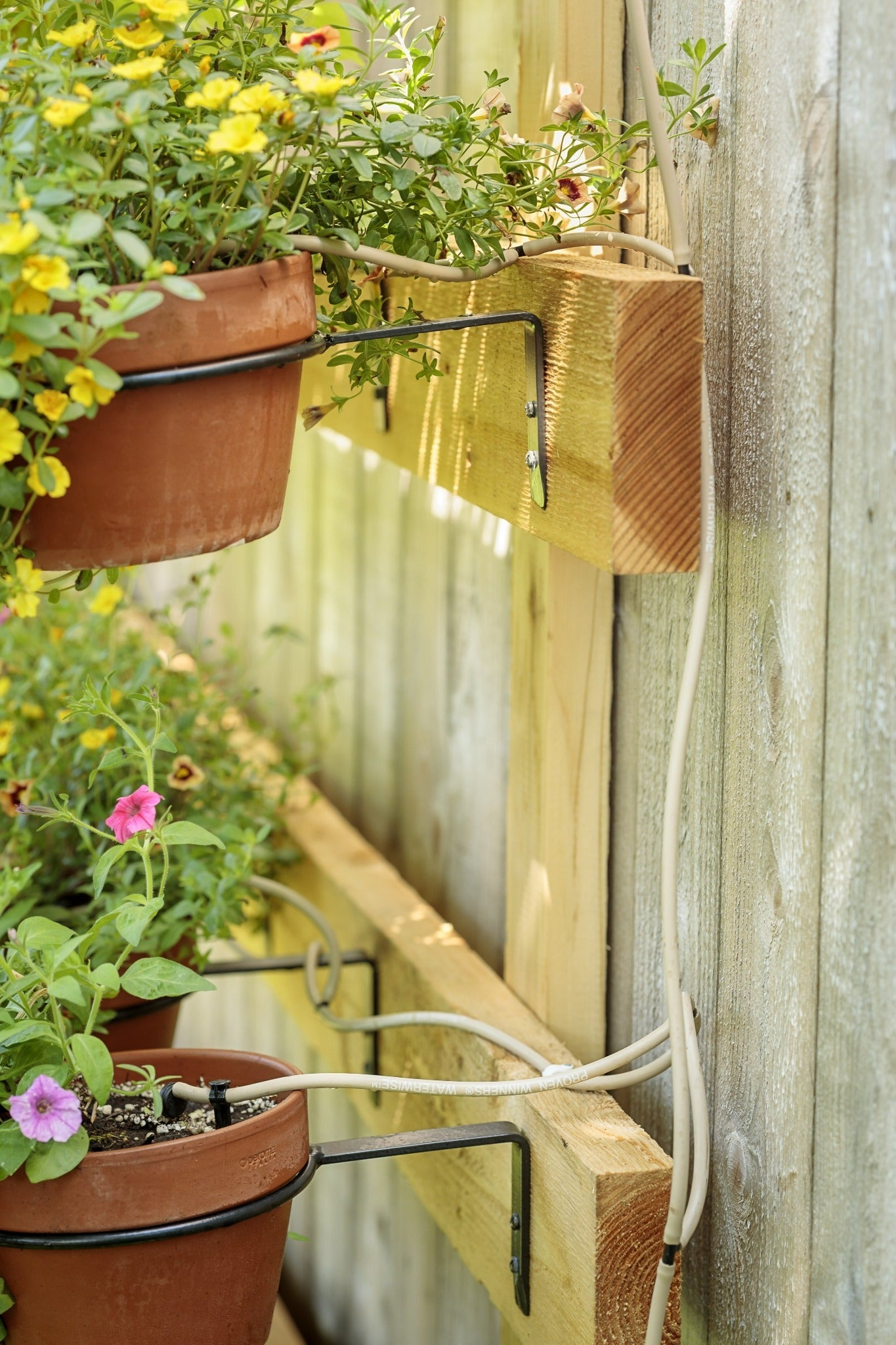 Proven Winners® Hardgoods Plants|WaterWise Drip Irrigation System 4