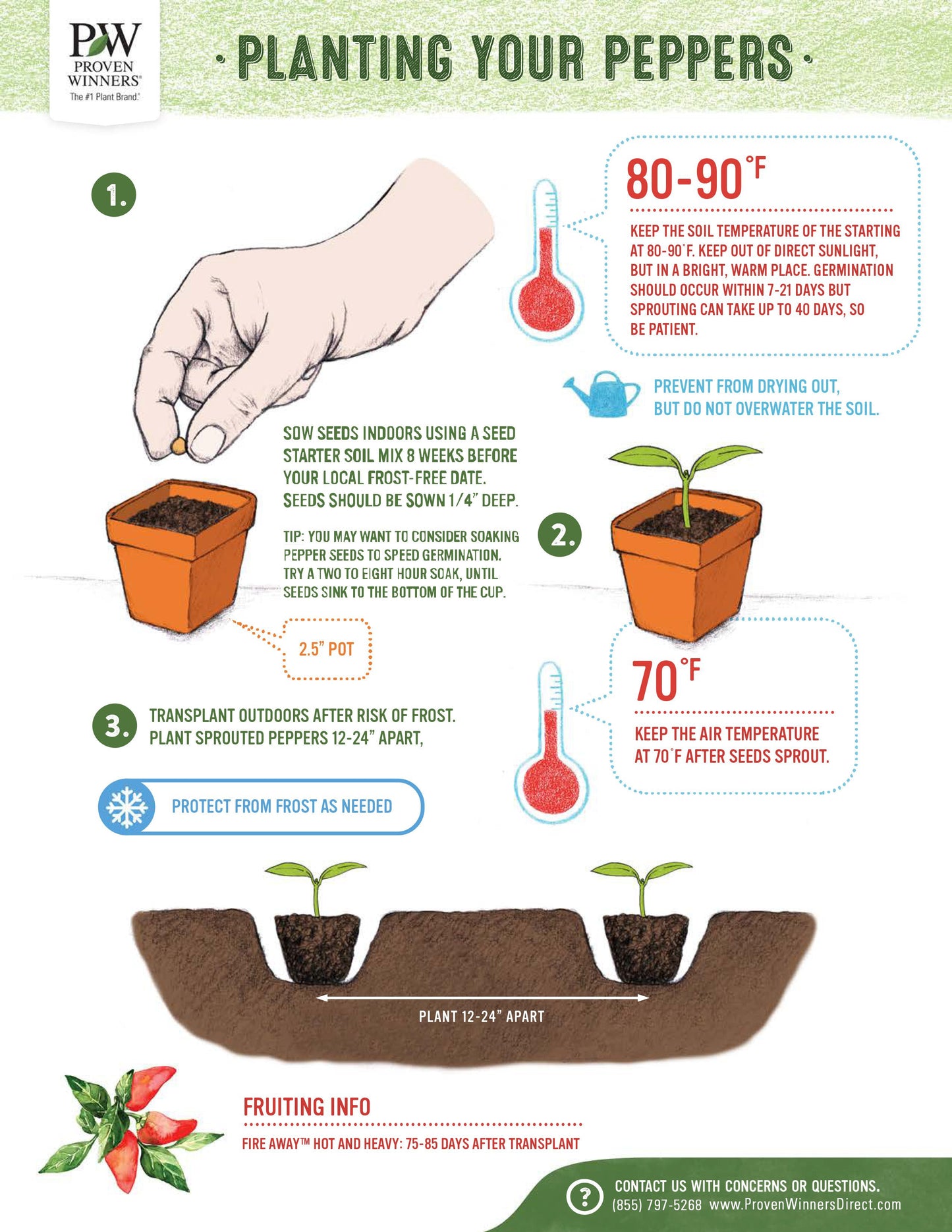 Seeds Fire Away™ 'Hot and Heavy' Hot Pepper (Capsicum)