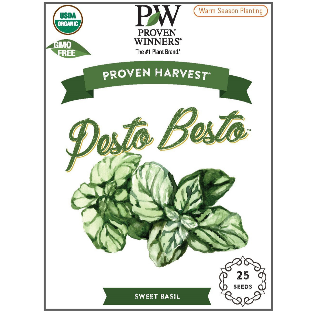 Seeds Pesto Besto™ Sweet Italian Basil (Ocimum)