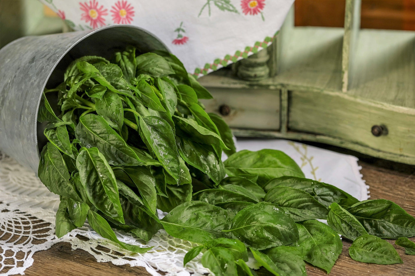 Seeds Pesto Besto™ Sweet Italian Basil (Ocimum)