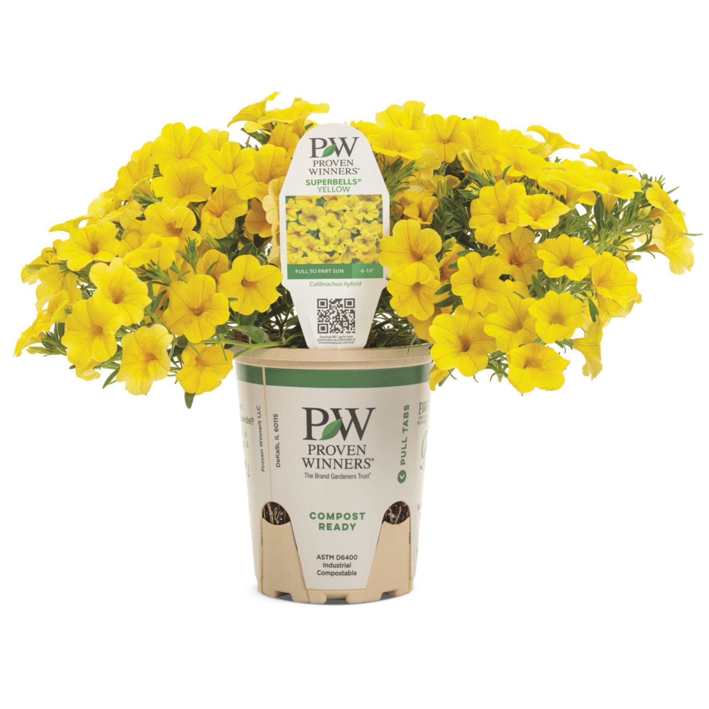 Superbells® Yellow Calibrachoa