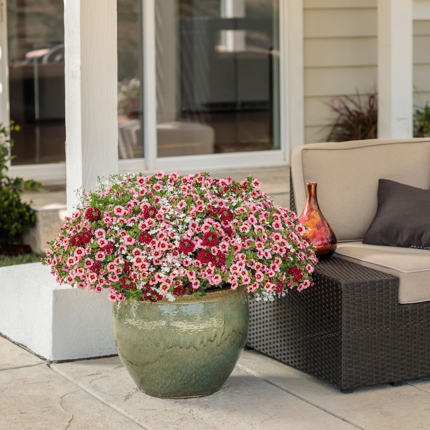 Superbells® Strawberry Punch™ Calibrachoa