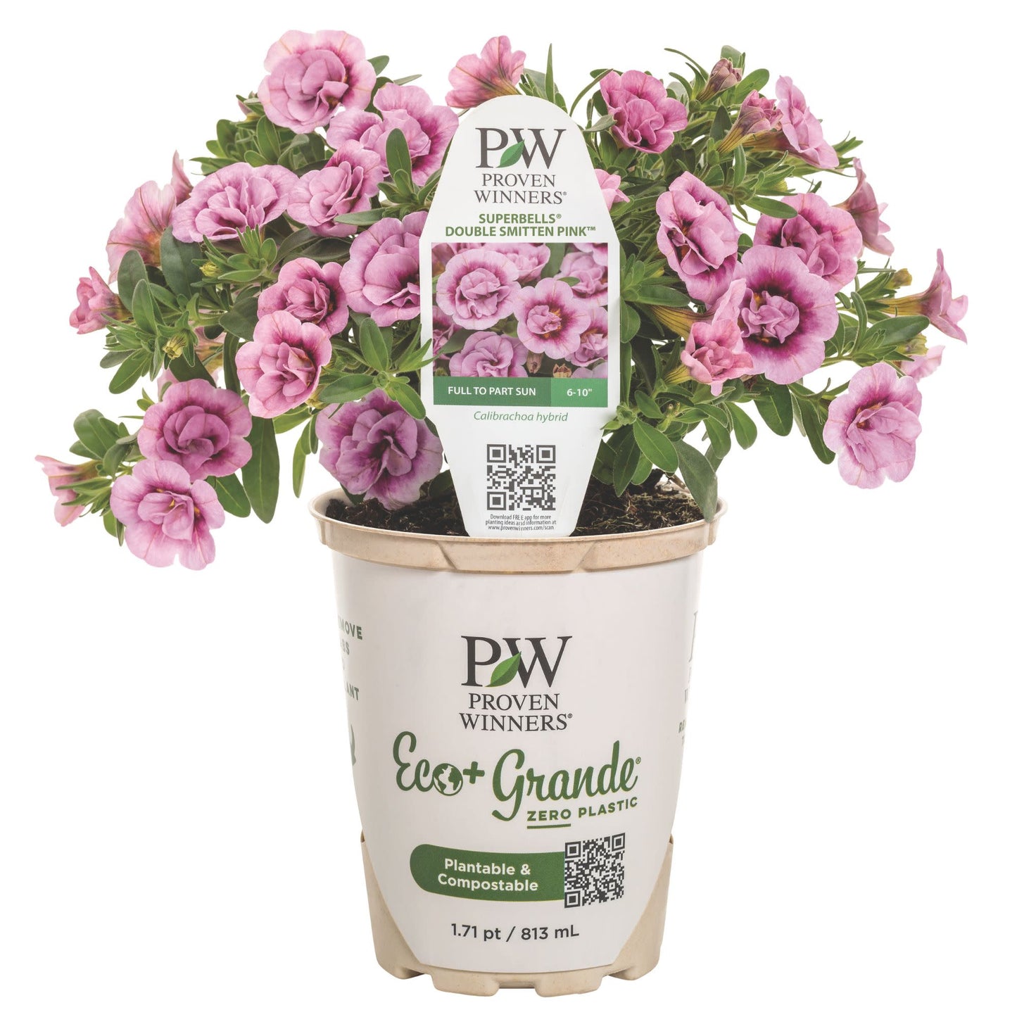 Superbells® Double Smitten Pink™ Calibrachoa