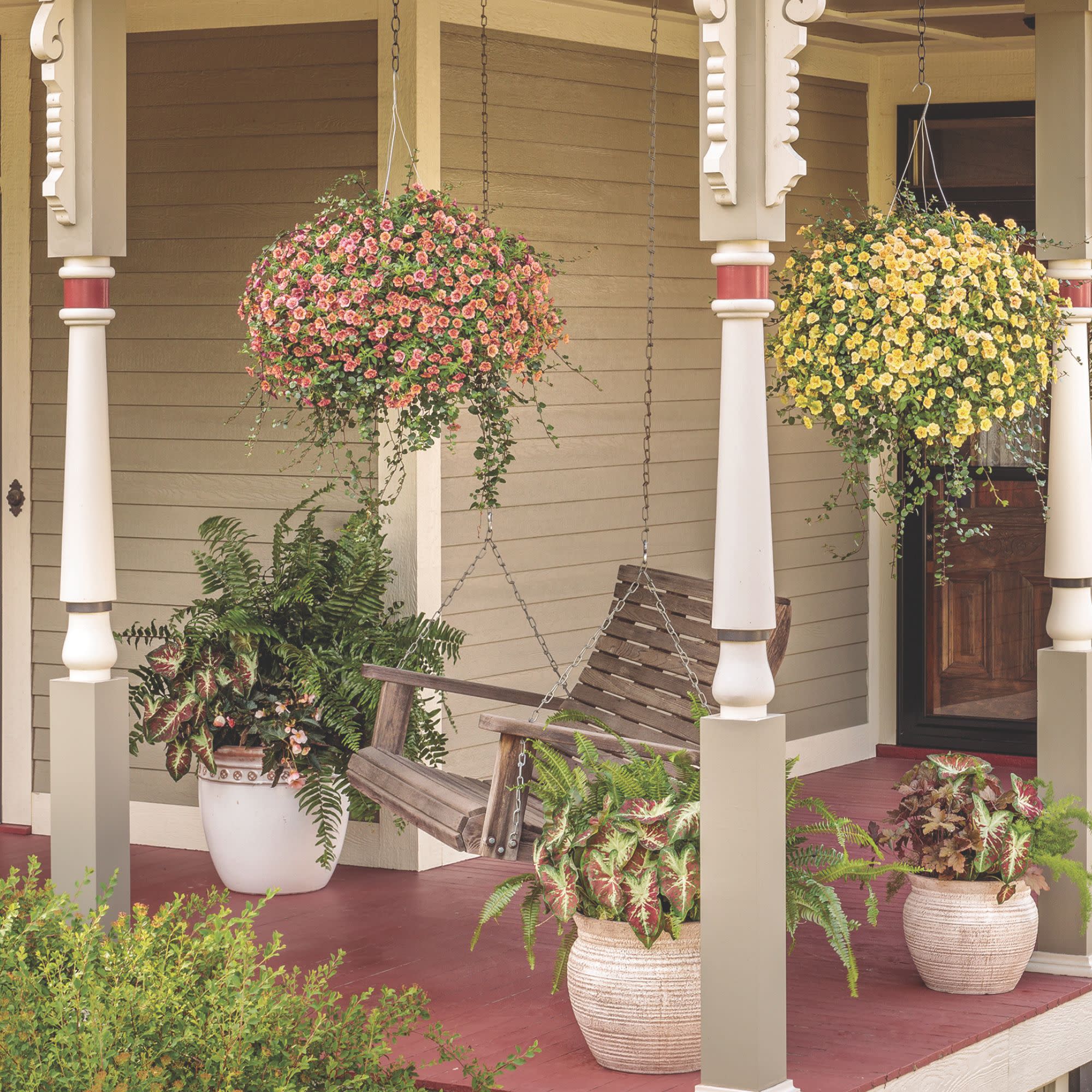 Calibrachoa | Superbells® Double Vintage Coral™ | Proven Winners