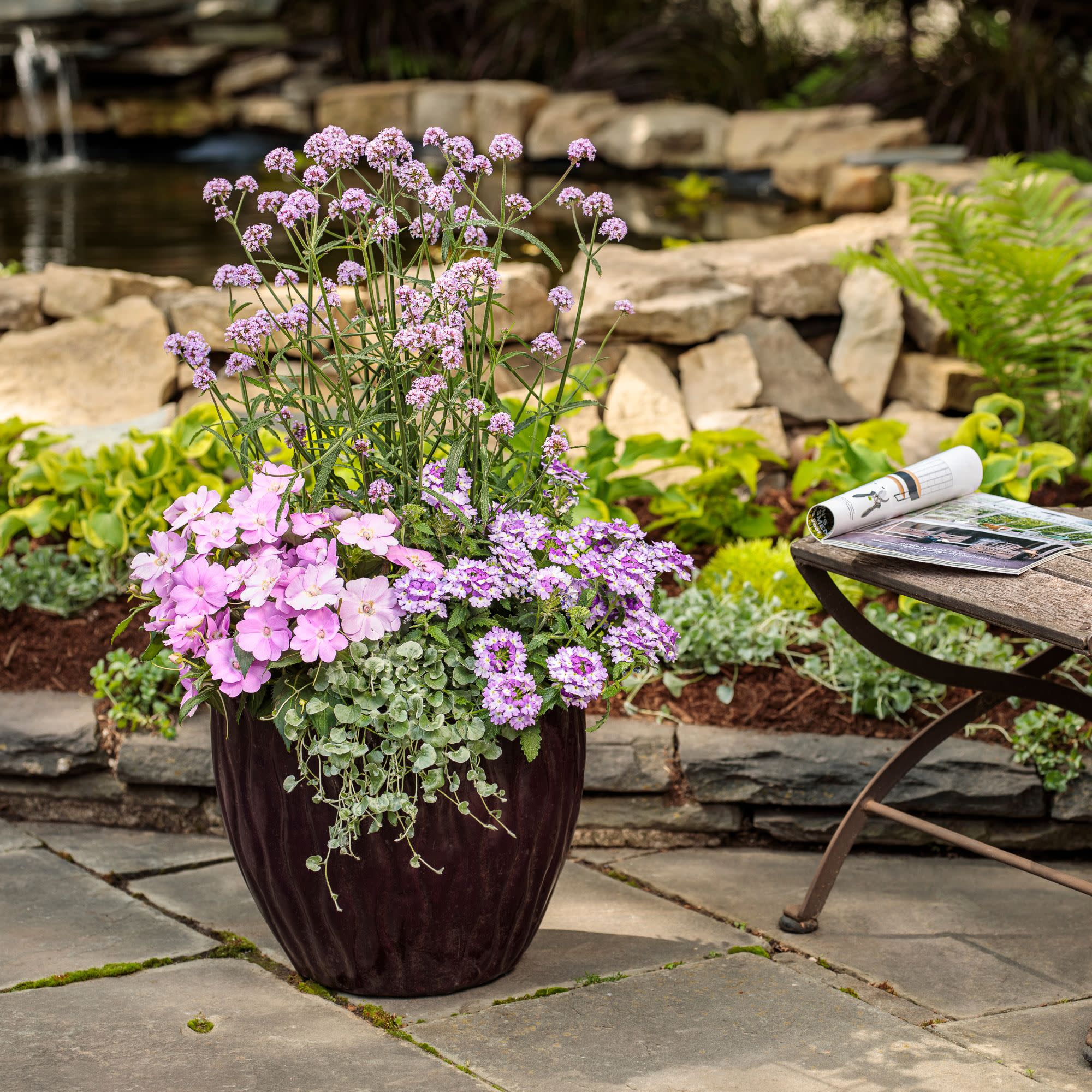 Verbena | Superbena Sparkling® Amethyst | Proven Winners® Annuals