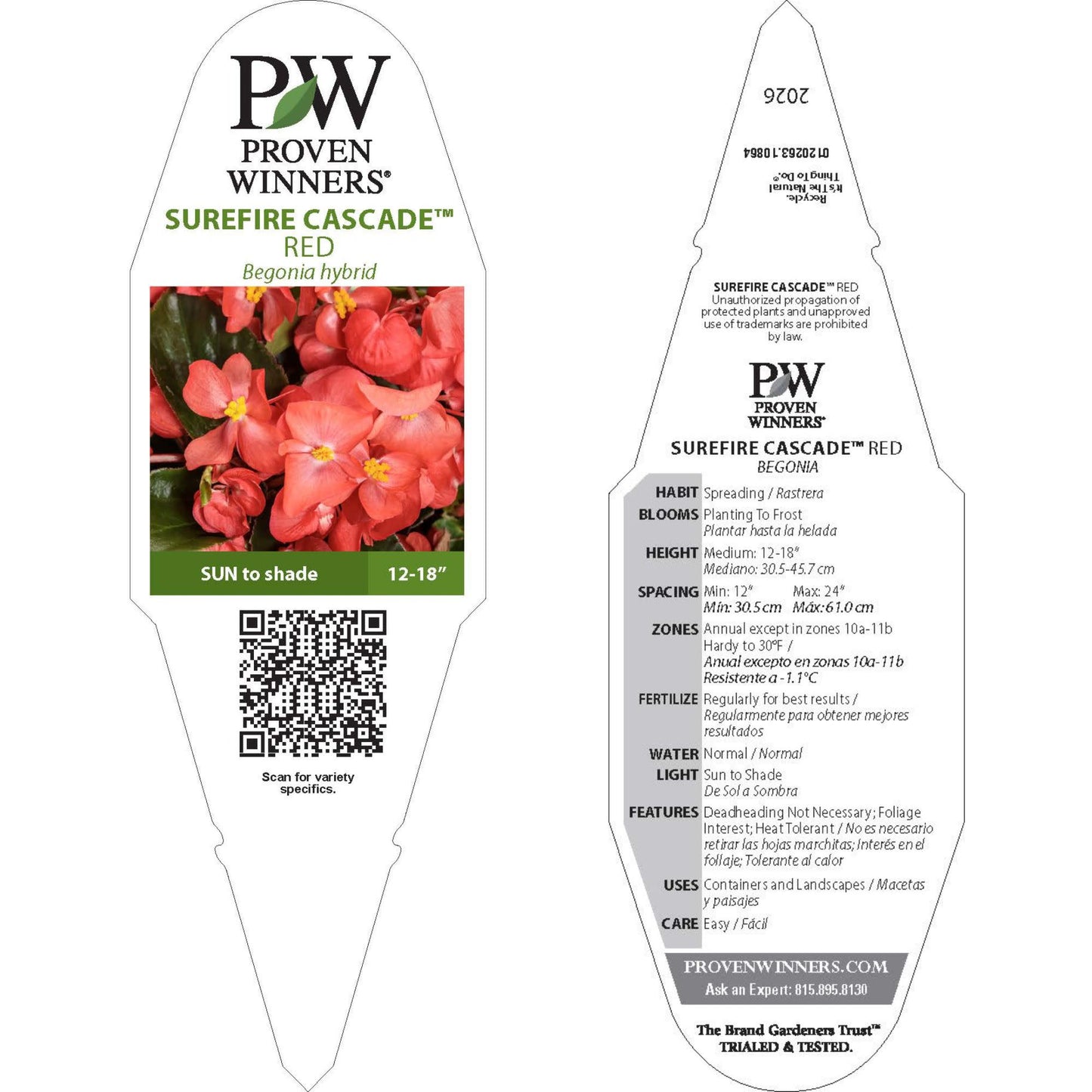 Surefire Cascade™ Red Begonia | Proven Winners® New Variety 2026