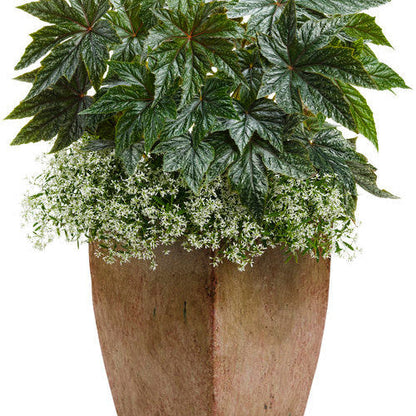 Pegasus Begonia in use.