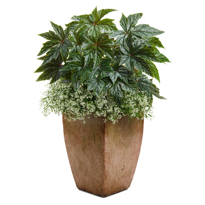 Pegasus® Begonia