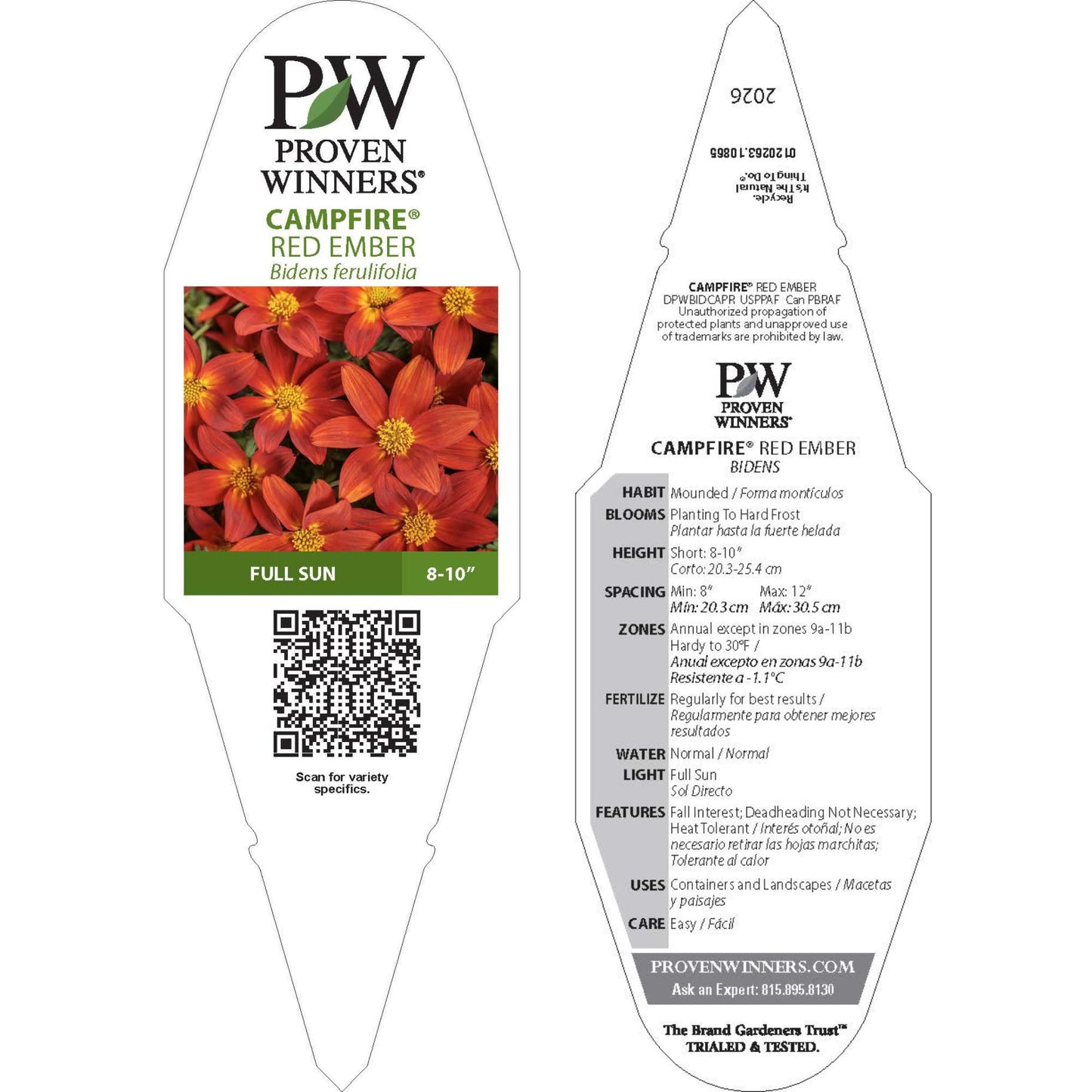 Campfire® Red Ember Apache Beggarticks (Bidens ferulifolia) | Proven Winners® New Variety 2026