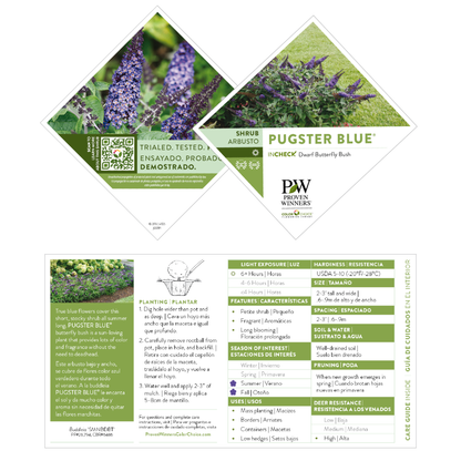 Pugster Blue® Butterfly Bush (Buddleia x)