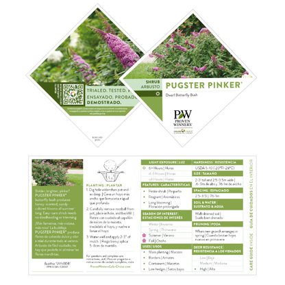 Pugster Pinker® Butterfly Bush (Buddleia x)
