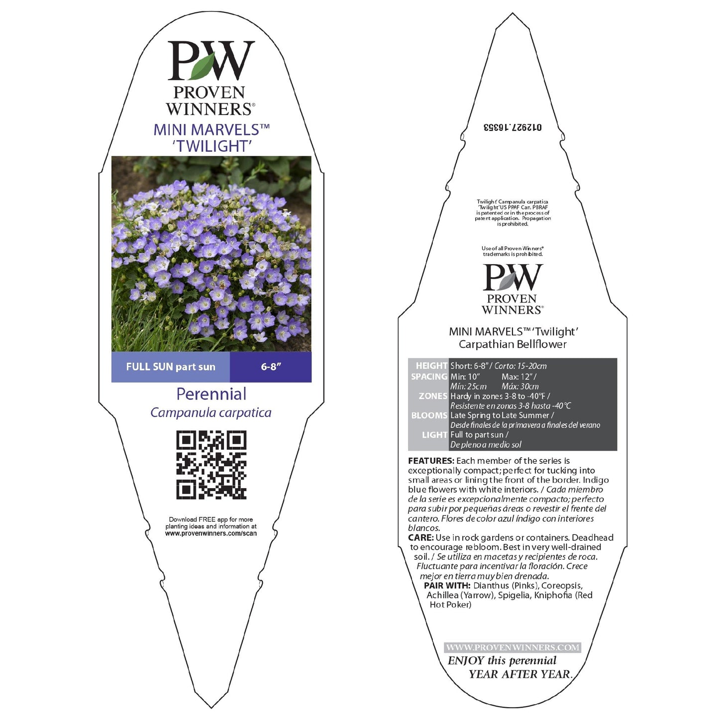 Mini Marvels™ 'Twilight' Carpathian Bellflower (Campanula carpatica)