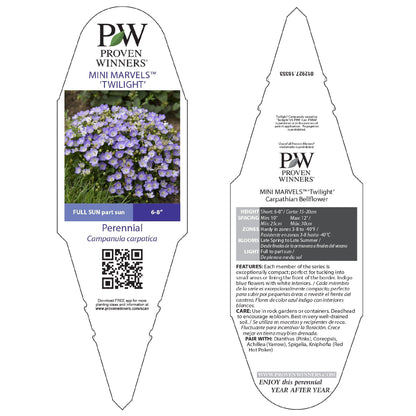 Mini Marvels™ 'Twilight' Carpathian Bellflower (Campanula carpatica)